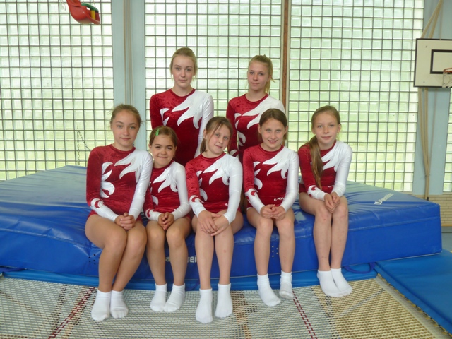 tl_files/TSV-Dielmissen/Bilder/2014/Bezirksliga Trampolin in Hannover/Mannschaft TSV Dielmissen II.JPG